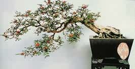 季节变化美